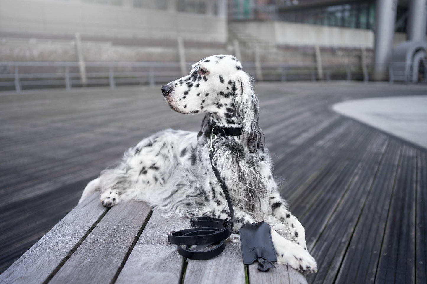 Lussa & Saku Set - Black