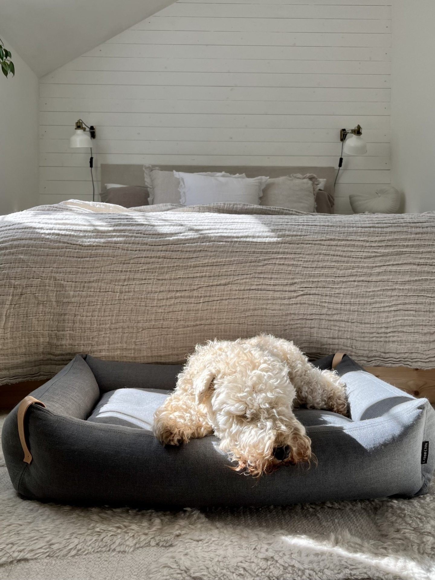 Moe Dog Bed - Light Anthracite