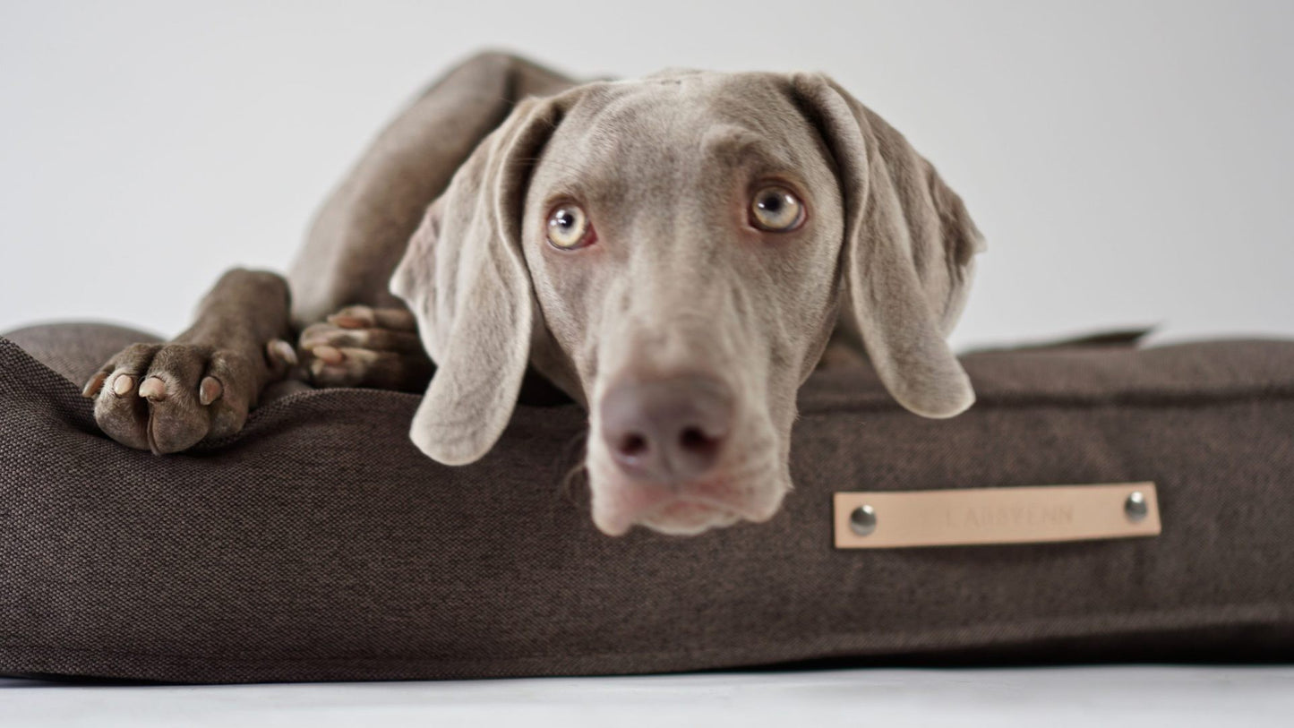 Töve Cushion - Brown