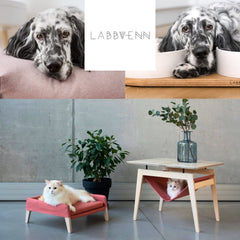Collection image for: Labbvenn