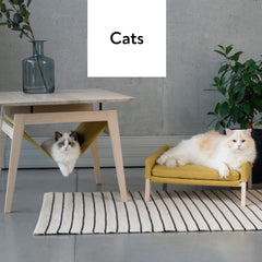 Collection image for: Cats