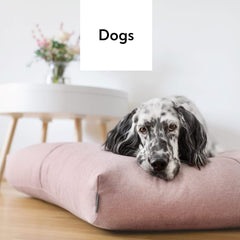 Collection image for: Dogs