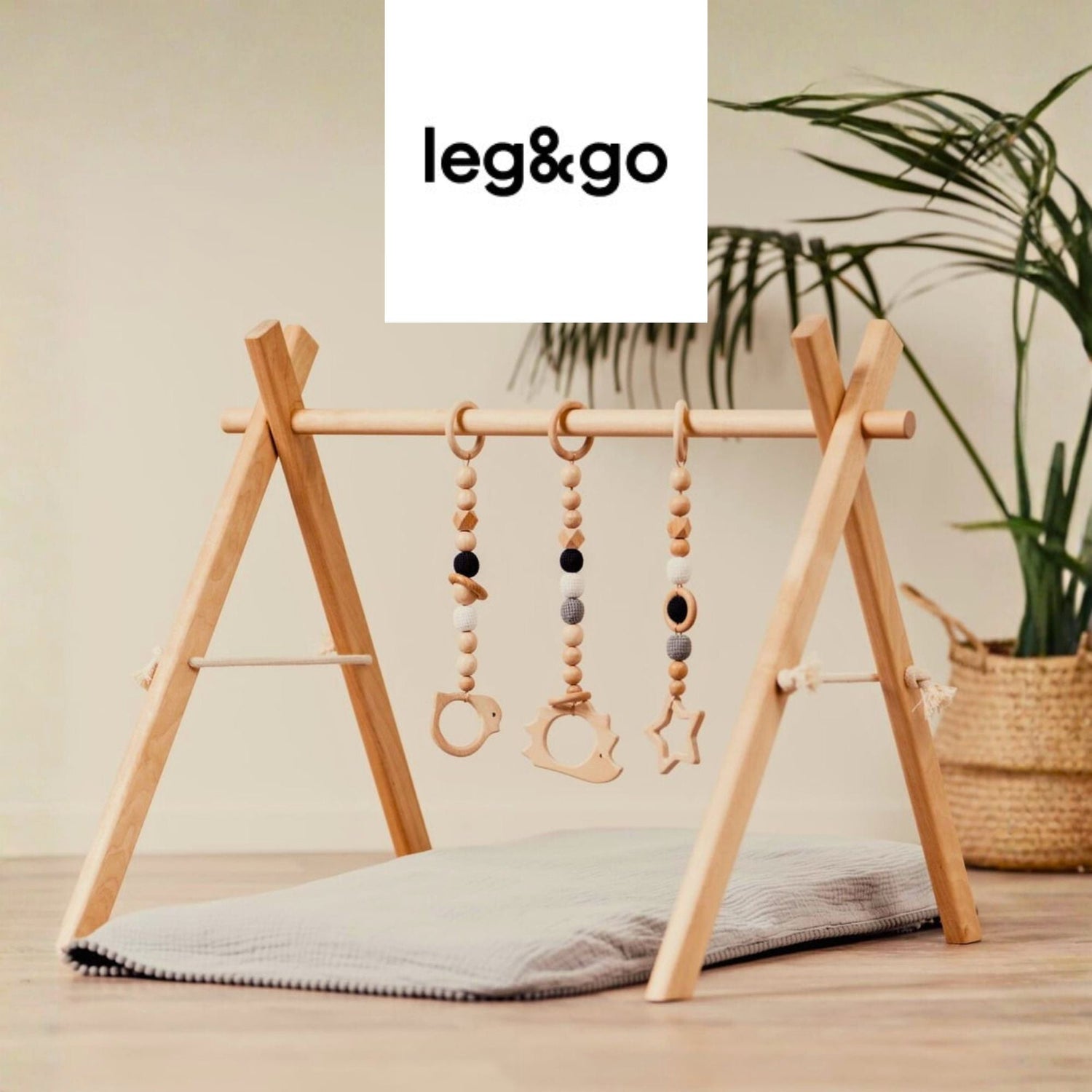 Leg&Go