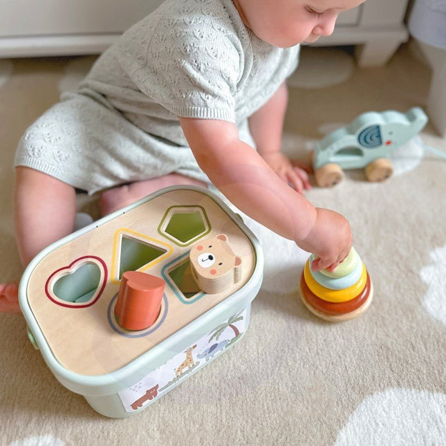 3in1 Toy Box - Sorting Blocks, Stackable Pyramid and Elephant On Wheels - LoveStyle World