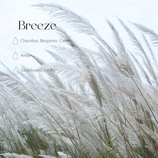 Car Diffuser - Breeze - LoveStyle World