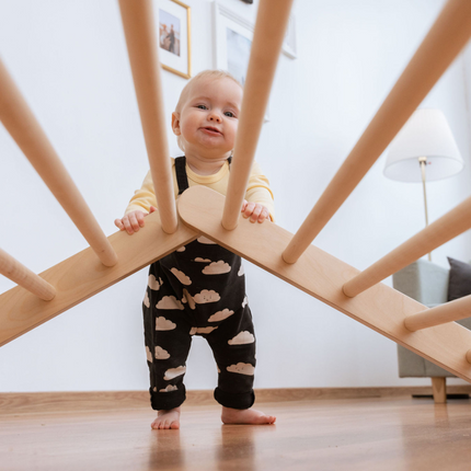 SIPITRI® 2 Segment Climbing Triangle With a Sliding/Climbing Ramp