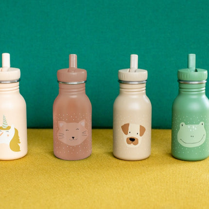 Stainless Steel Bottle 350 ml - Mrs Cat