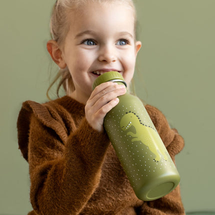 Stainless Steel Bottle 500 ml - Mr Dino
