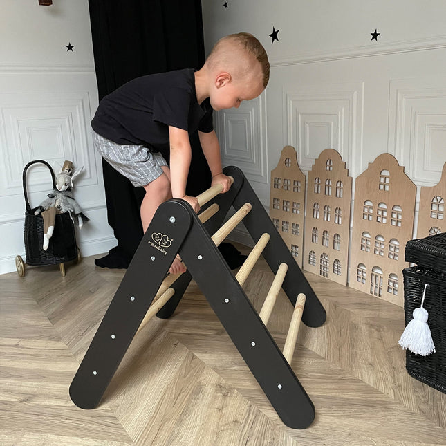 Ladder Wooden Pikler Climbing - Black - LoveStyle World