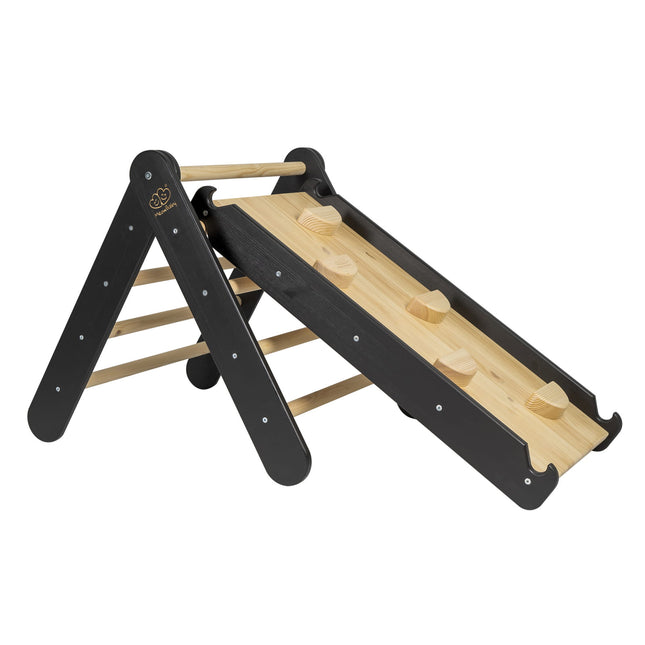 Ladder with a Slide-Climbing Wall - Black - LoveStyle World