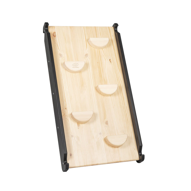 Ladder with a Slide-Climbing Wall - Black - LoveStyle World