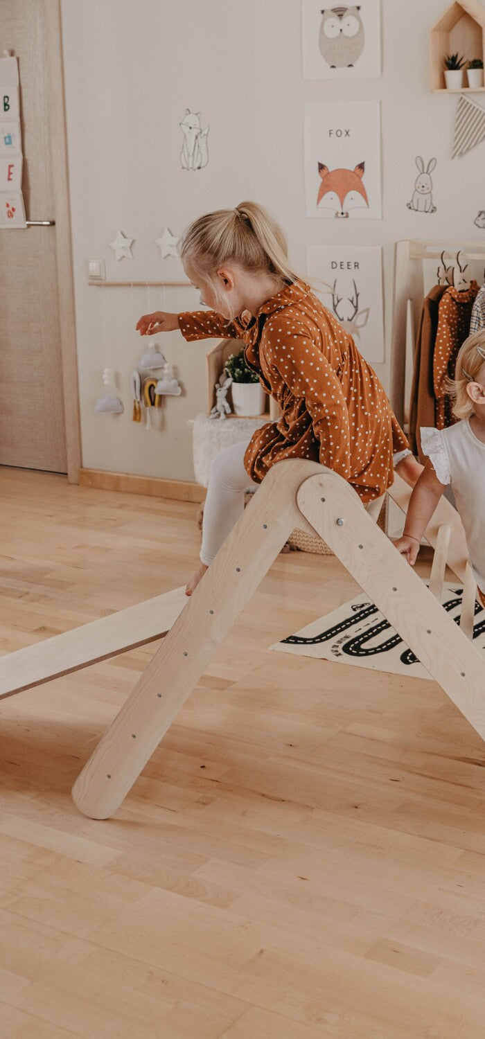 <h1><strong>Pikler Triangle & Climbing Ladders</strong></h1>