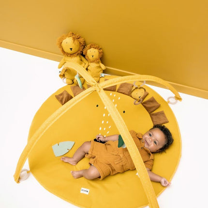 Activity Play Mat with Arches - Mr. Lion