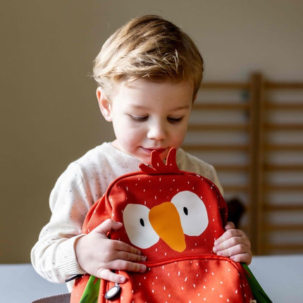 Backpack - Mr. Parrot