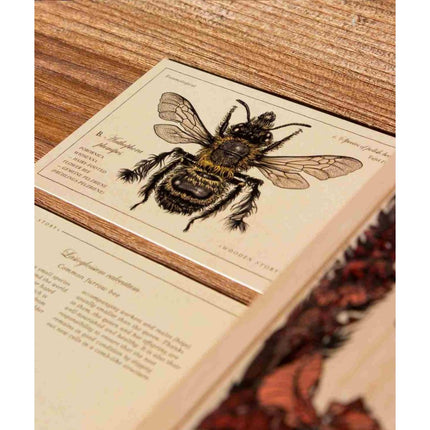 Wooden Blocks Bee Life - Species