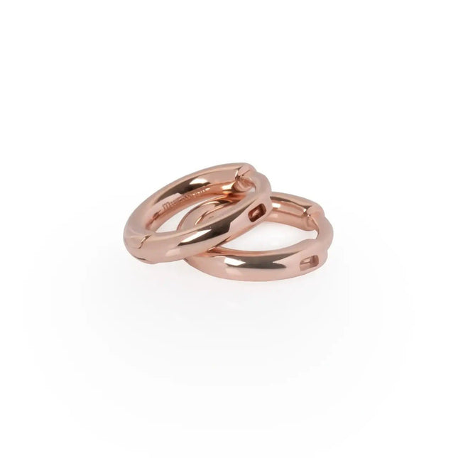 Classy Small Hoops - Rose Gold and Silver - LoveStyle World