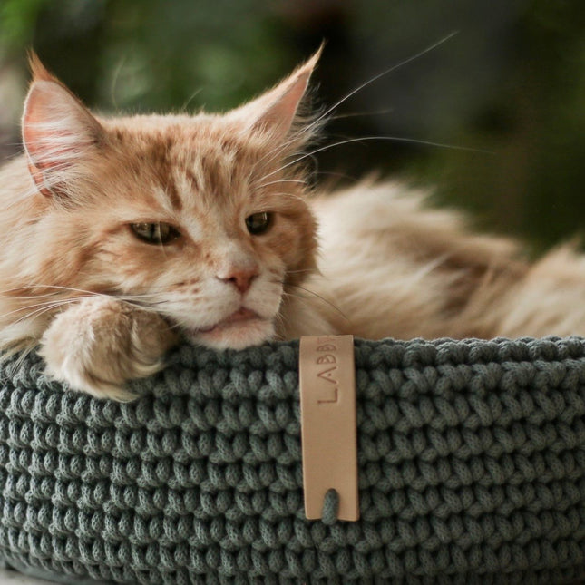 Coco Dog/Cat Bed - Green - LoveStyle World
