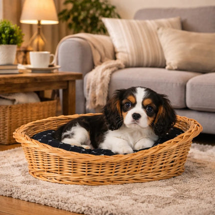 Enovia Natural Wicker Dog Bed With Black Cushion, 65x46 cm