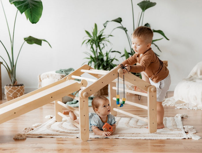 <h2><strong>Pikler Triangles & Climbing Ladders</strong></h2>