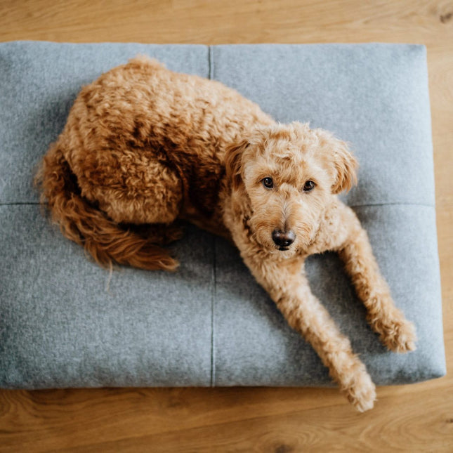 Finno Cushion - Anthracite - LoveStyle World