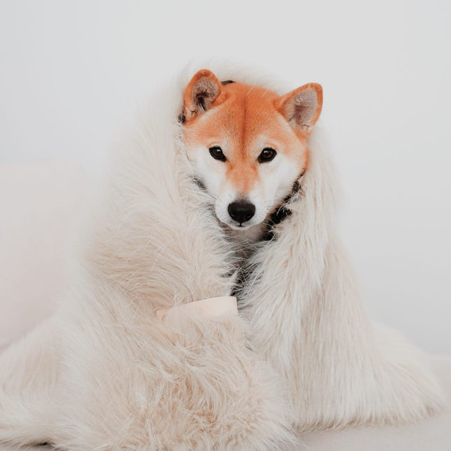 Föra Blanket - White - LoveStyle World
