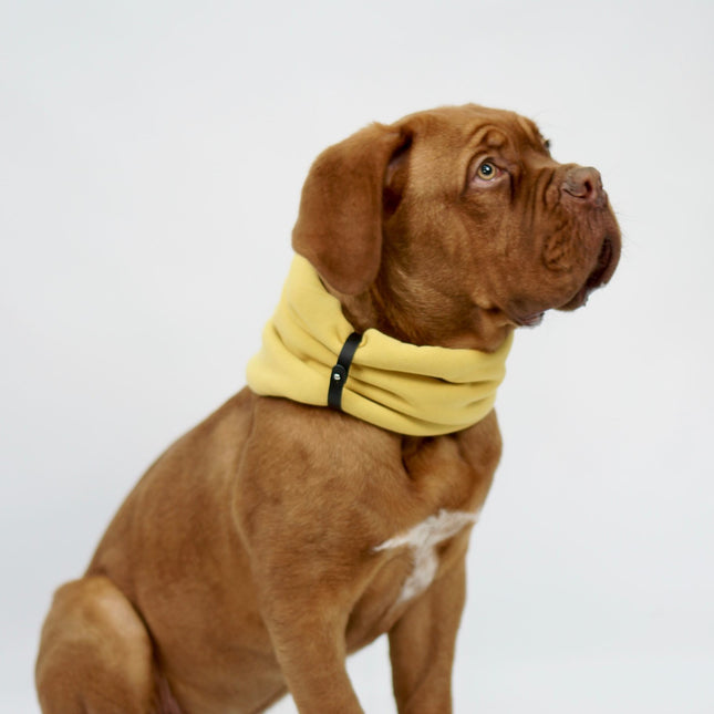Inko Neck Warmer - Gold - LoveStyle World
