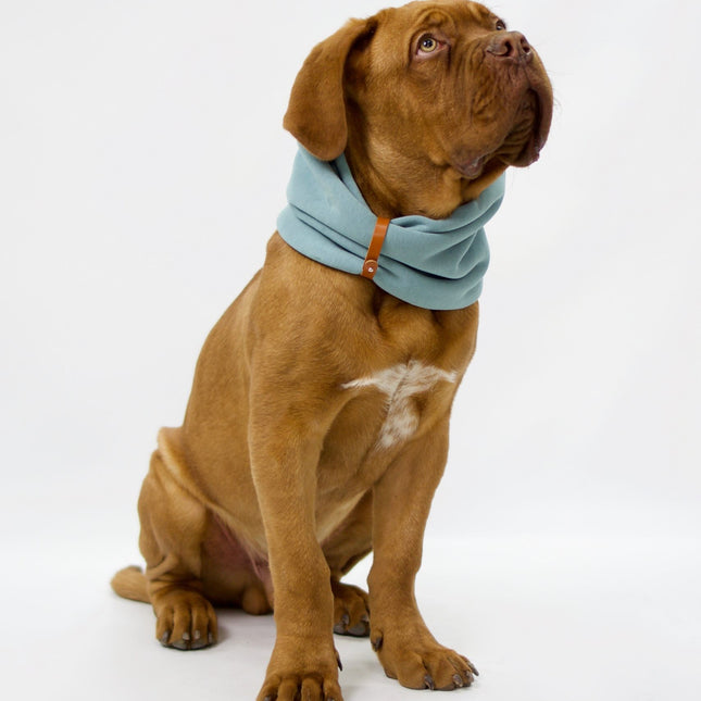 Inko Neck Warmer - Turquoise - LoveStyle World