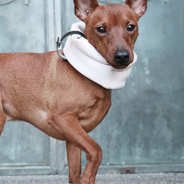 Inko Neck Warmer - White Sand - LoveStyle World
