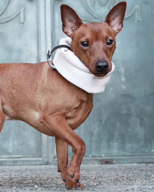 Inko Neck Warmer - White Sand 