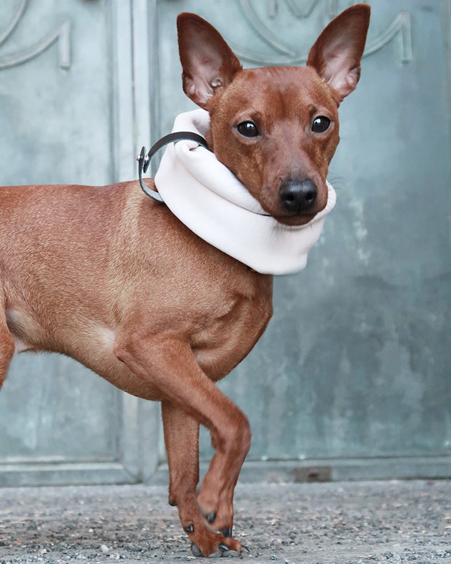 Inko Neck Warmer - White Sand 