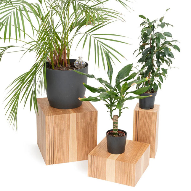 Floor Planter Podium Wooden Cubes (Set of 3) - LoveStyle World