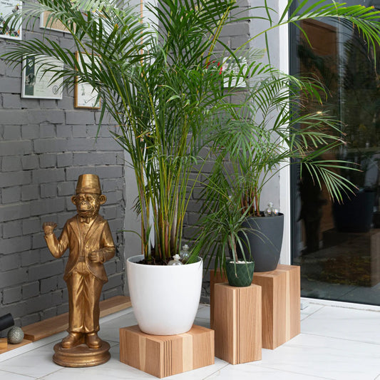 Floor Planter Podium Wooden Cubes (Set of 3)