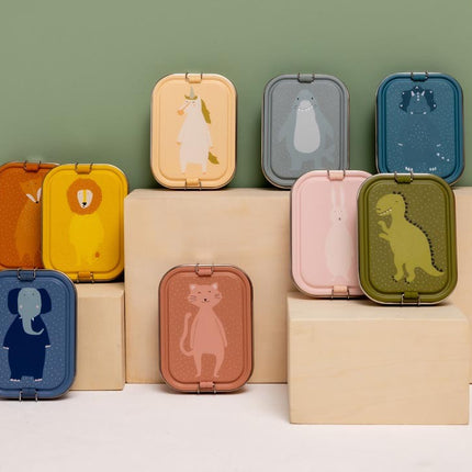 Large Lunch Box - Mr. Dino