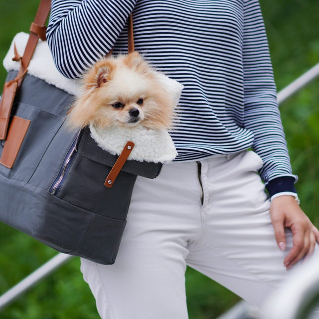 Liiva Dog Carrier & Personal Bag - Grey 