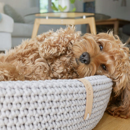 Lukko Dog Bed - Light Grey 