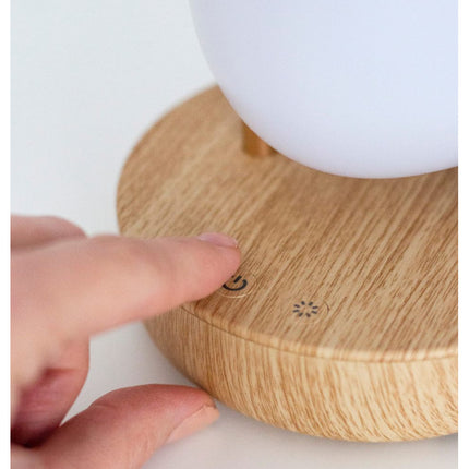 Lamp with Speaker - Pink Bird