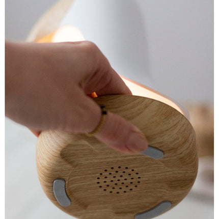 Lamp with Speaker - Pink Bird