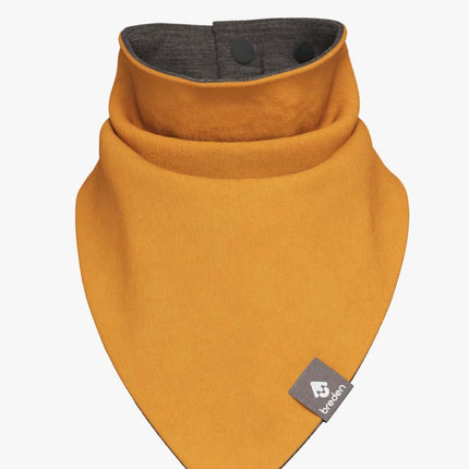 Merino-Lined Triangle Scarf MAX