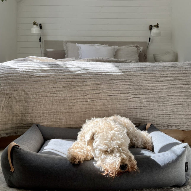 Moe Dog Bed - Light Anthracite 
