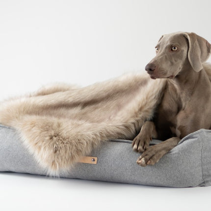 Møvik Dog Bed - Grey 