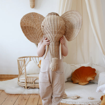 Organic Cotton Canopy - Raw Cotton