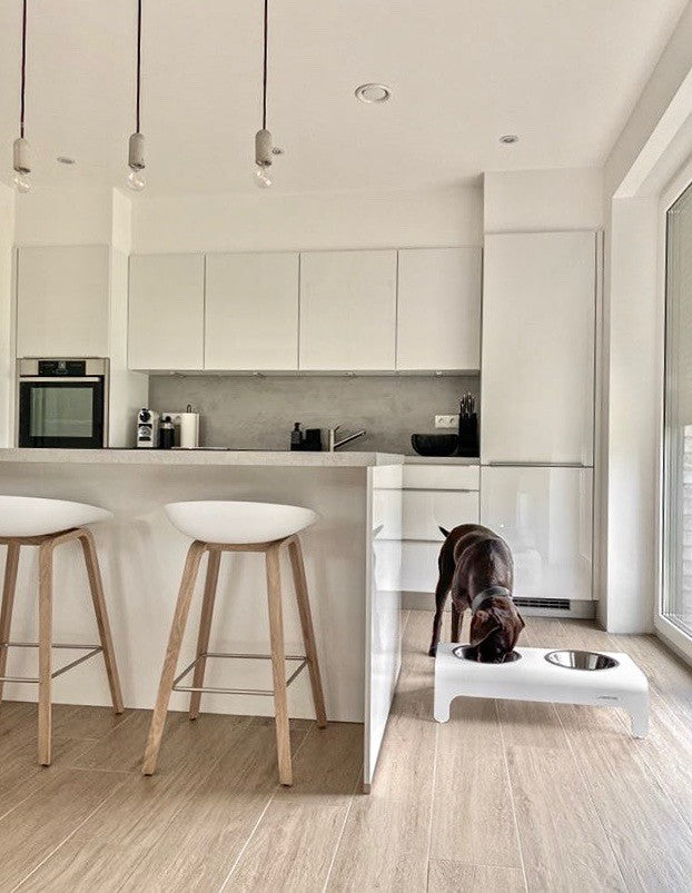 Rico Cat/Dog Feeder - White