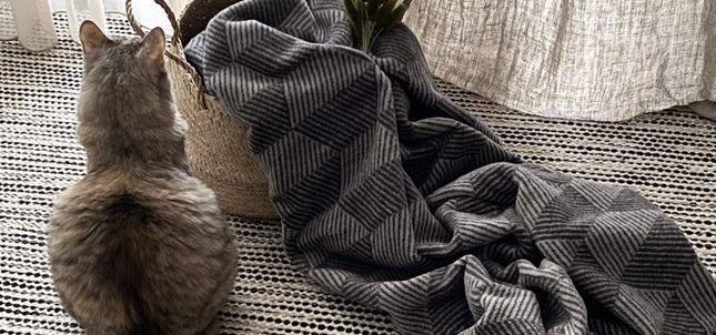 Rino Blanket - Grayish 
