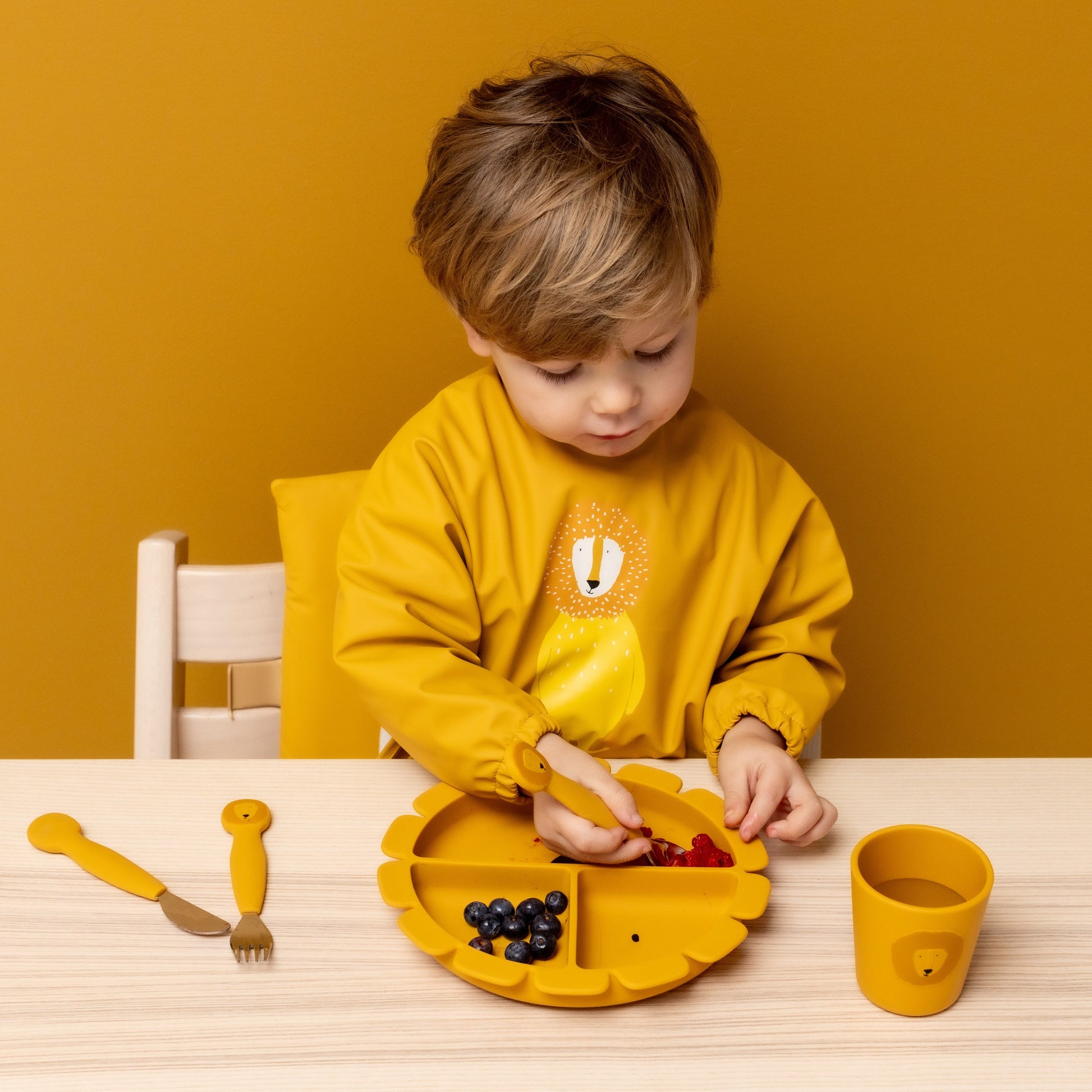 Silicone Divided Suction Plate for Kids - Mr. Lion