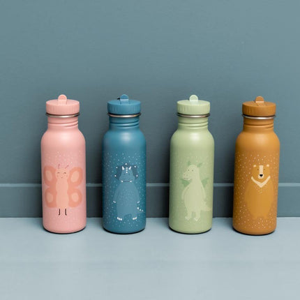Stainless Steel Bottle 350 ml - Mr. Triceratops