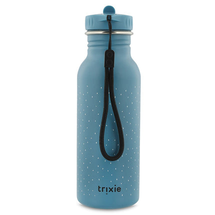 Stainless Steel Bottle 500 ml - Mr. Triceratops