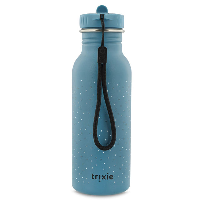 Stainless Steel Bottle 500 ml - Mr. Triceratops