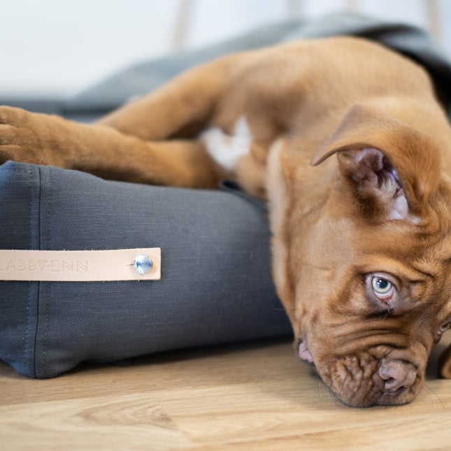 Stokke Dog Bed - Grey 