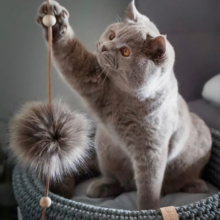 Tollo Cat Toy - Anthracite 