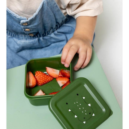 Nesting Snack Boxes, 3-Piece Set – Mr. Alligator